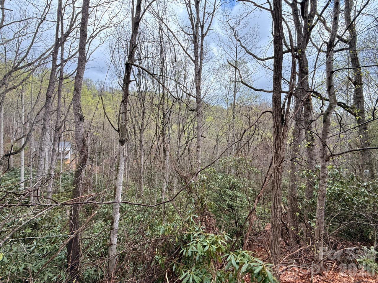 000 Ridgeview Drive Hendersonville NC 28791