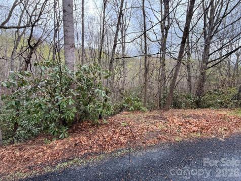000 Ridgeview Drive Hendersonville NC 28791