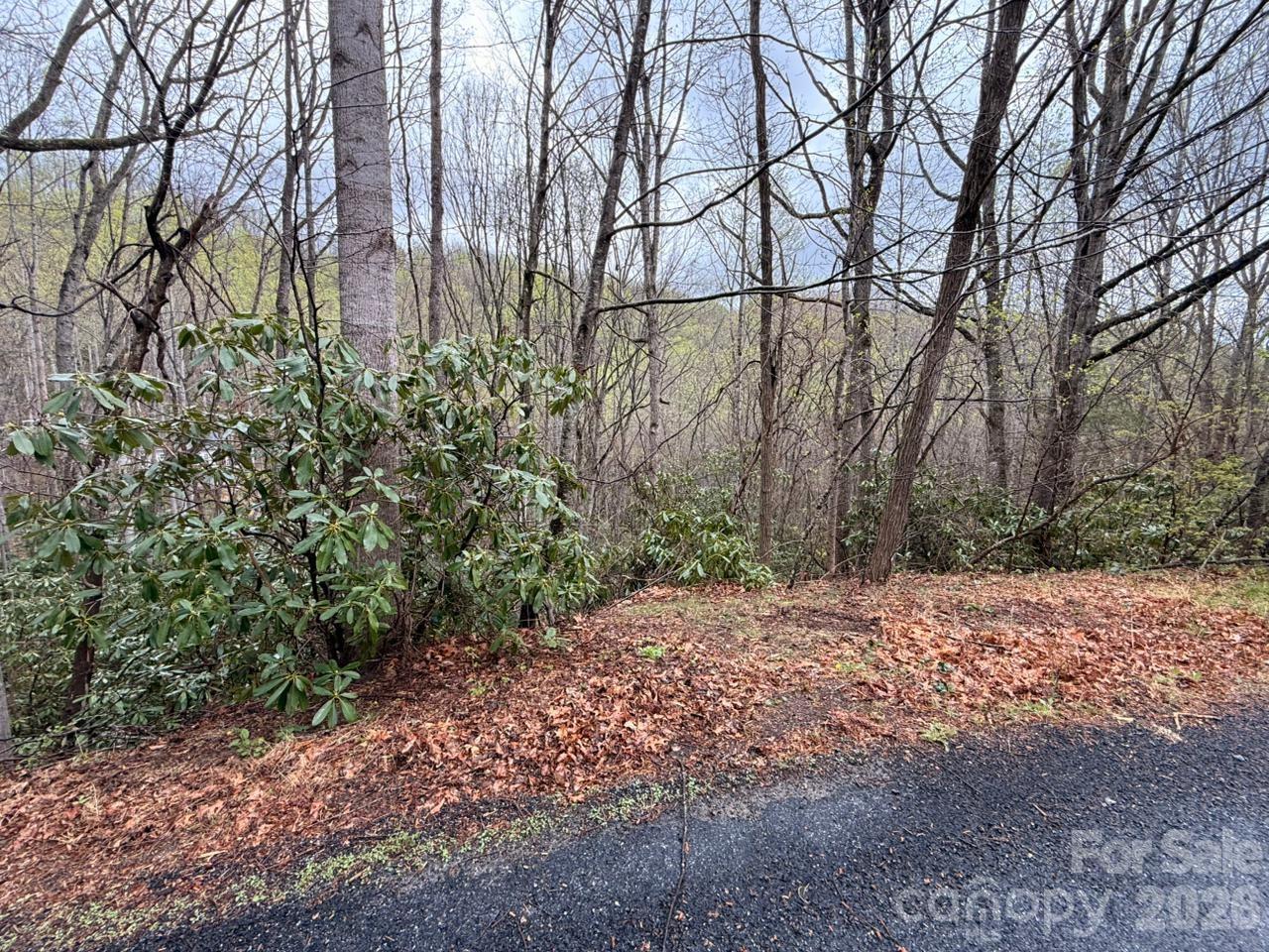 000 Ridgeview Drive Hendersonville NC 28791