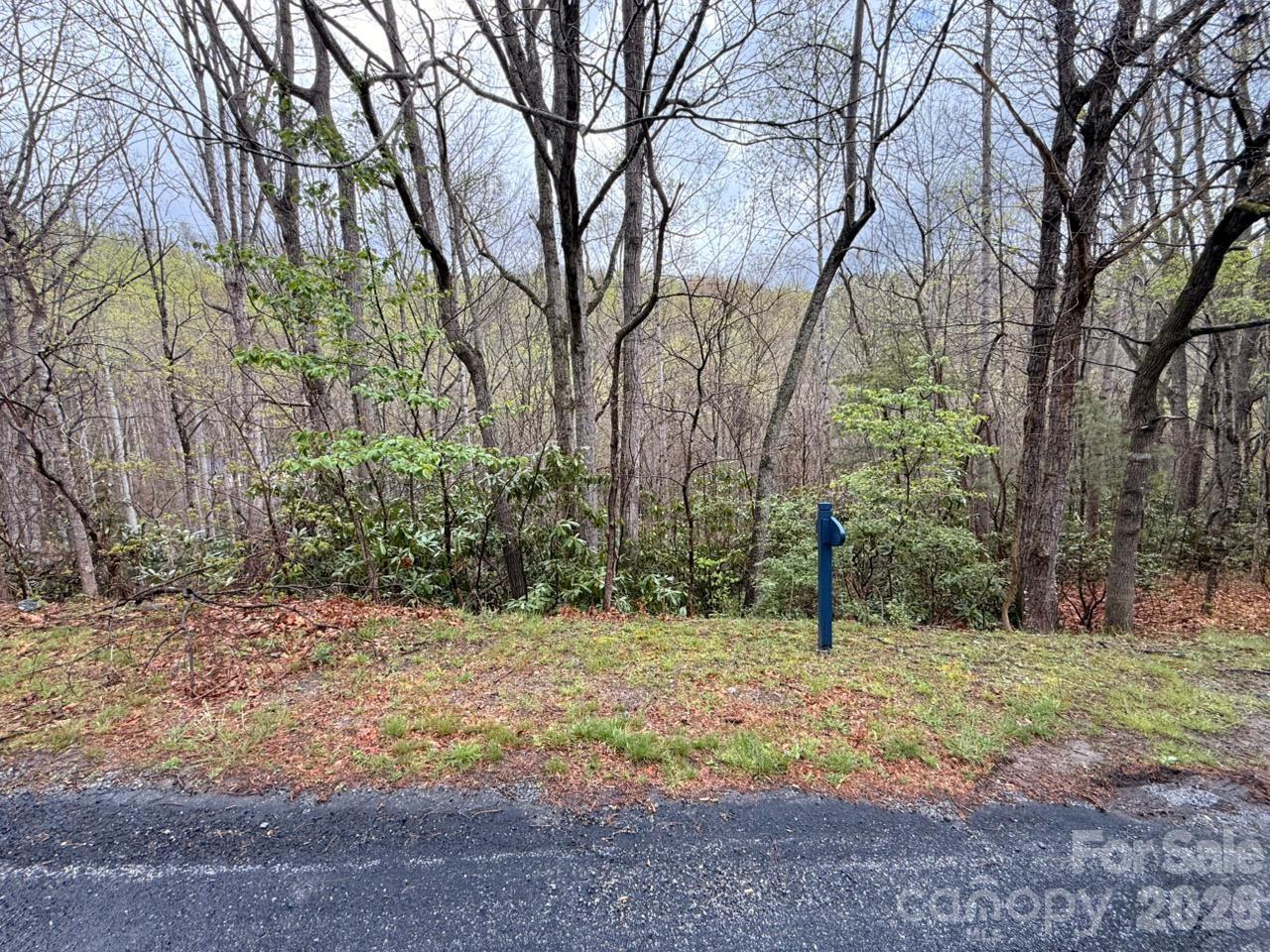 000 Ridgeview Drive Hendersonville NC 28791