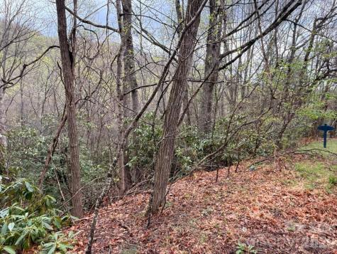 000 Ridgeview Drive Hendersonville NC 28791