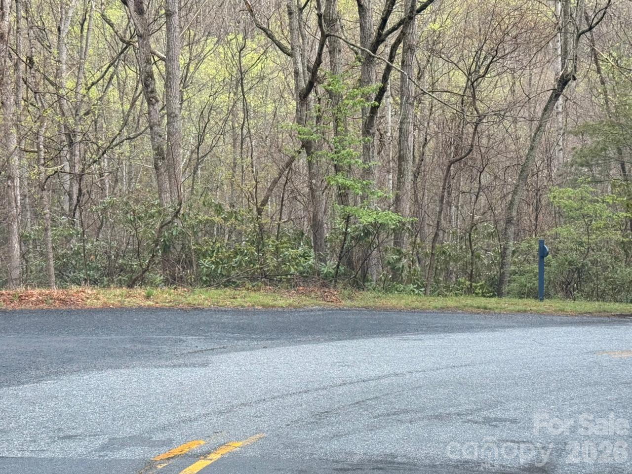 000 Ridgeview Drive Hendersonville NC 28791