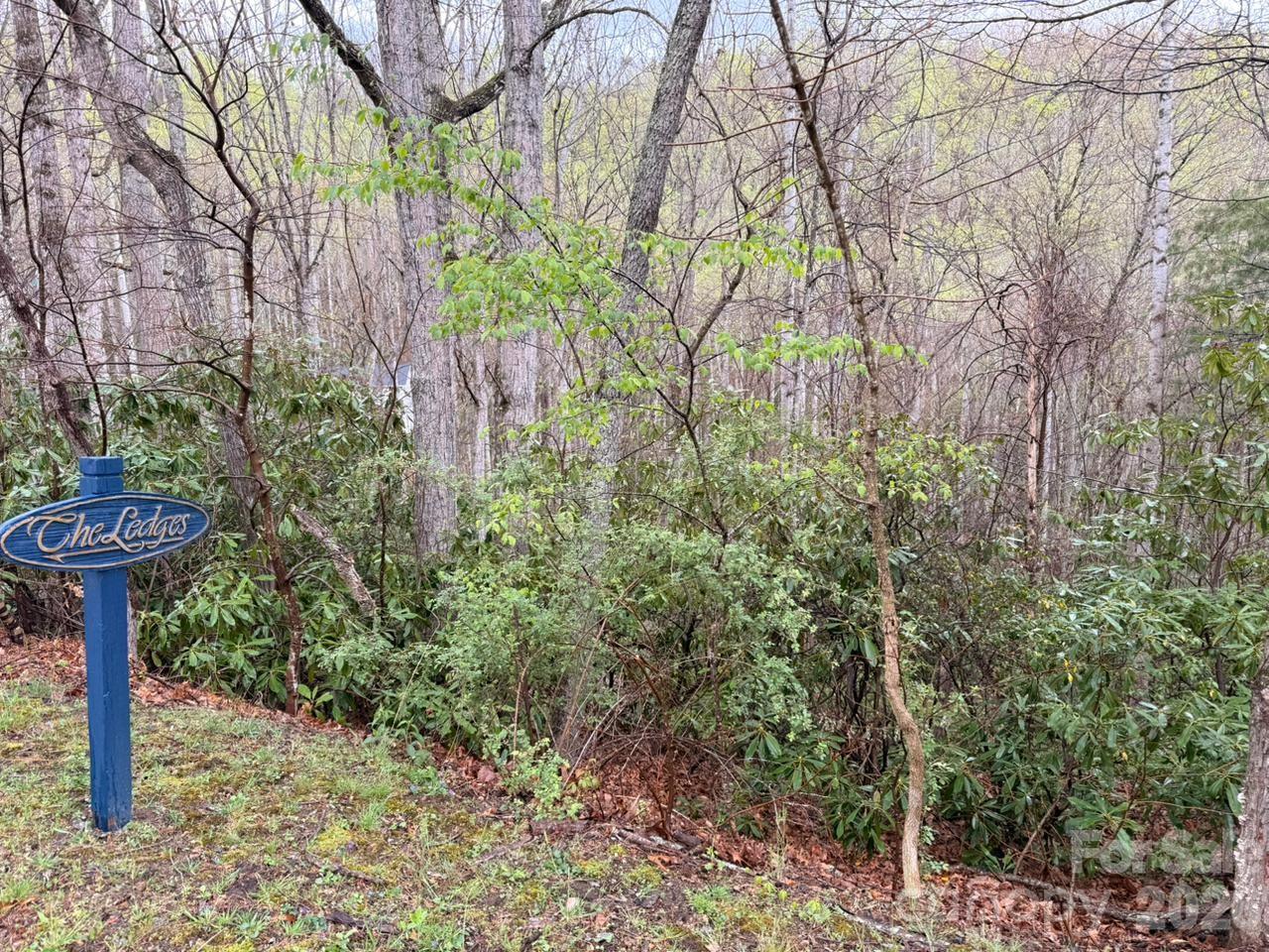 000 Ridgeview Drive Hendersonville NC 28791