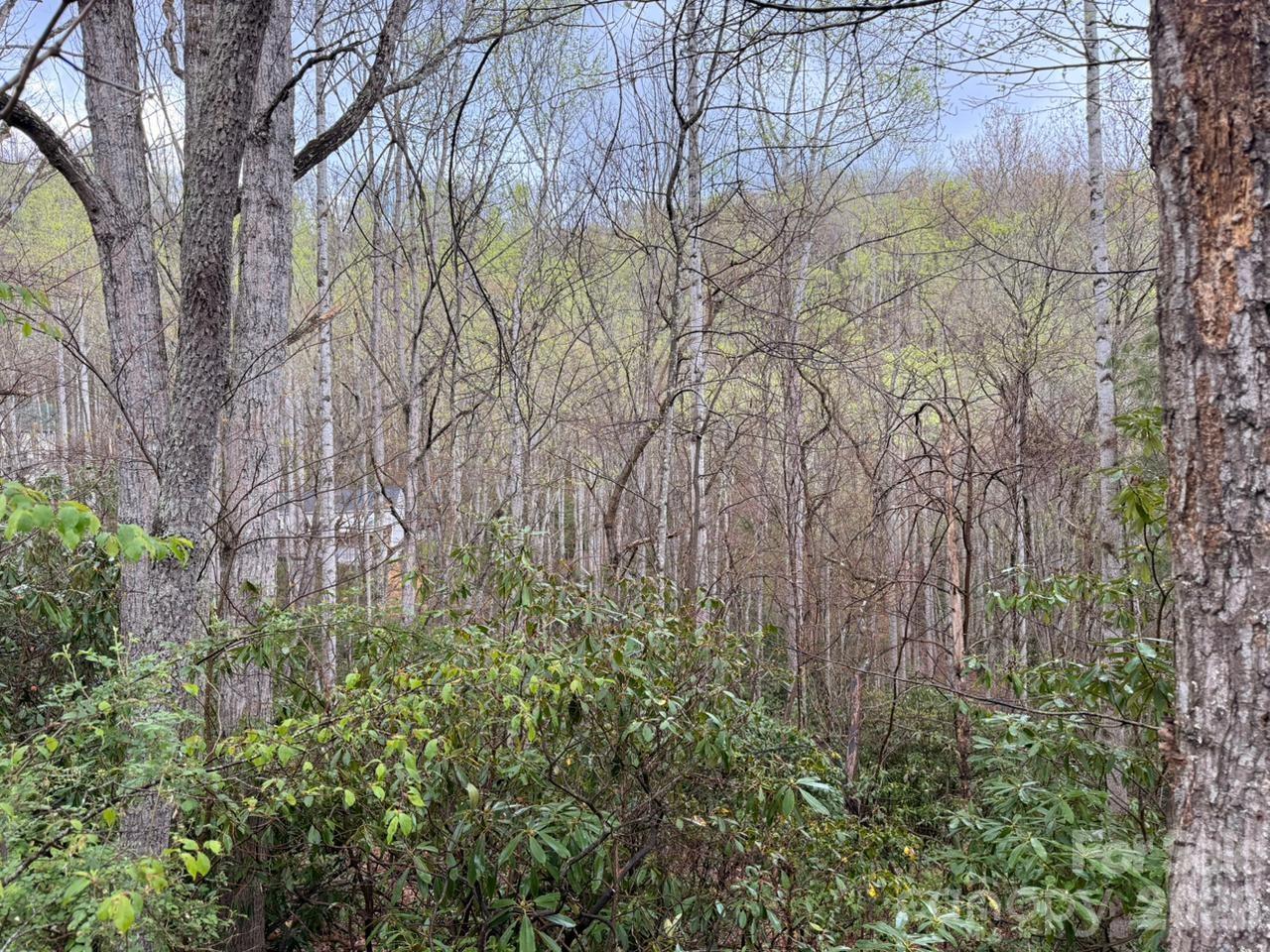 000 Ridgeview Drive Hendersonville NC 28791