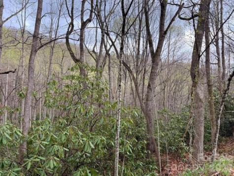 000 Ridgeview Drive Hendersonville NC 28791