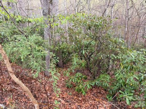 000 Ridgeview Drive Hendersonville NC 28791