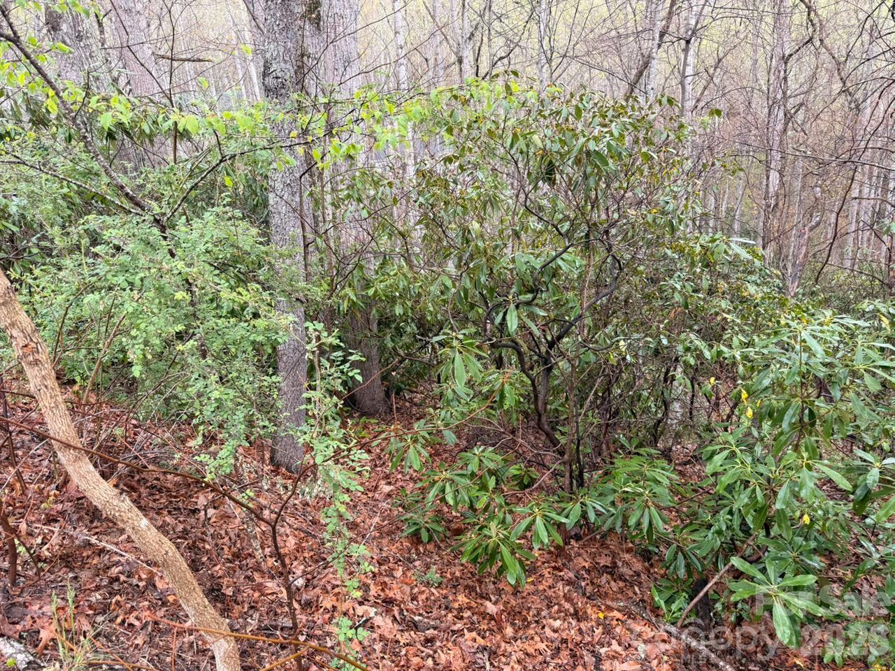 000 Ridgeview Drive Hendersonville NC 28791