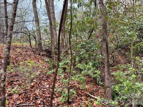 000 Ridgeview Drive Hendersonville NC 28791