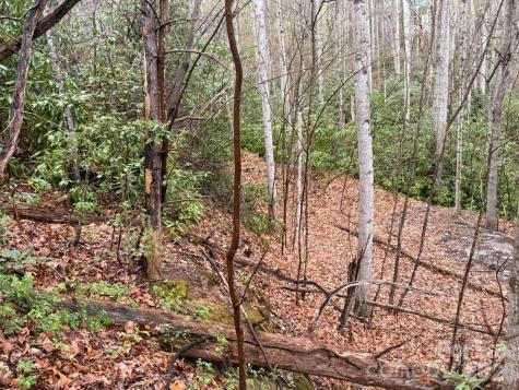 000 Ridgeview Drive Hendersonville NC 28791