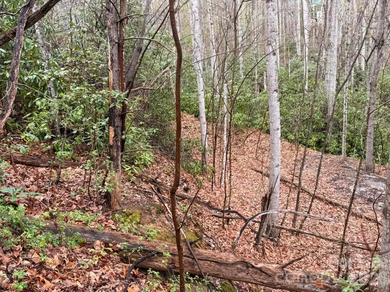 000 Ridgeview Drive Hendersonville NC 28791