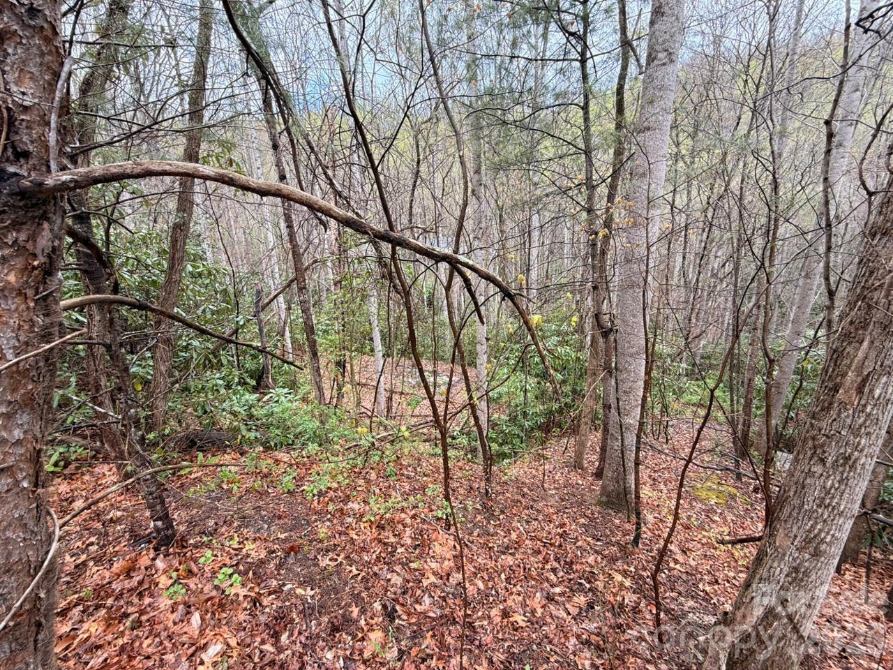 000 Ridgeview Drive Hendersonville NC 28791