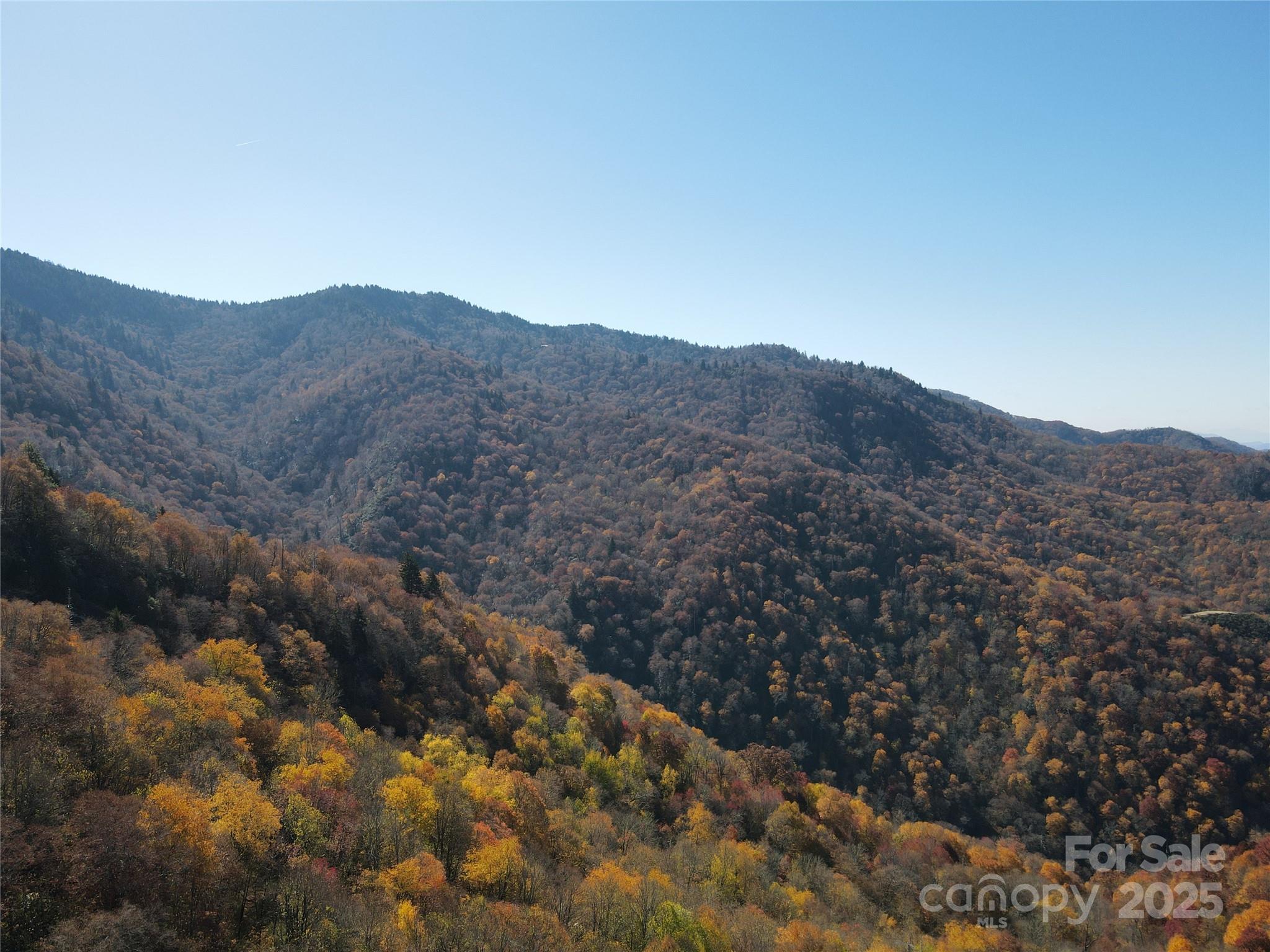 3689 Plott Balsam Road Maggie Valley NC 28779