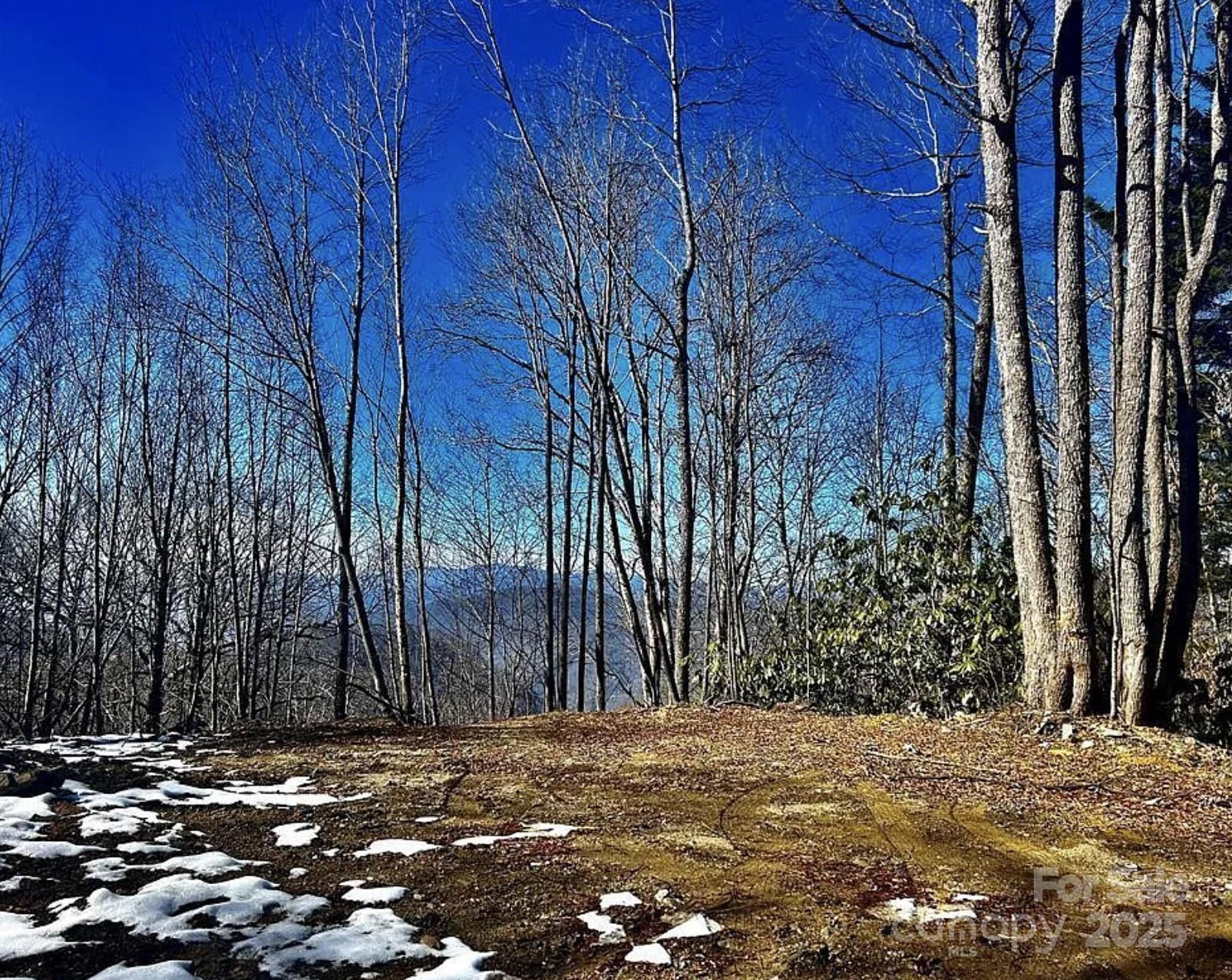 3689 Plott Balsam Road Maggie Valley NC 28779