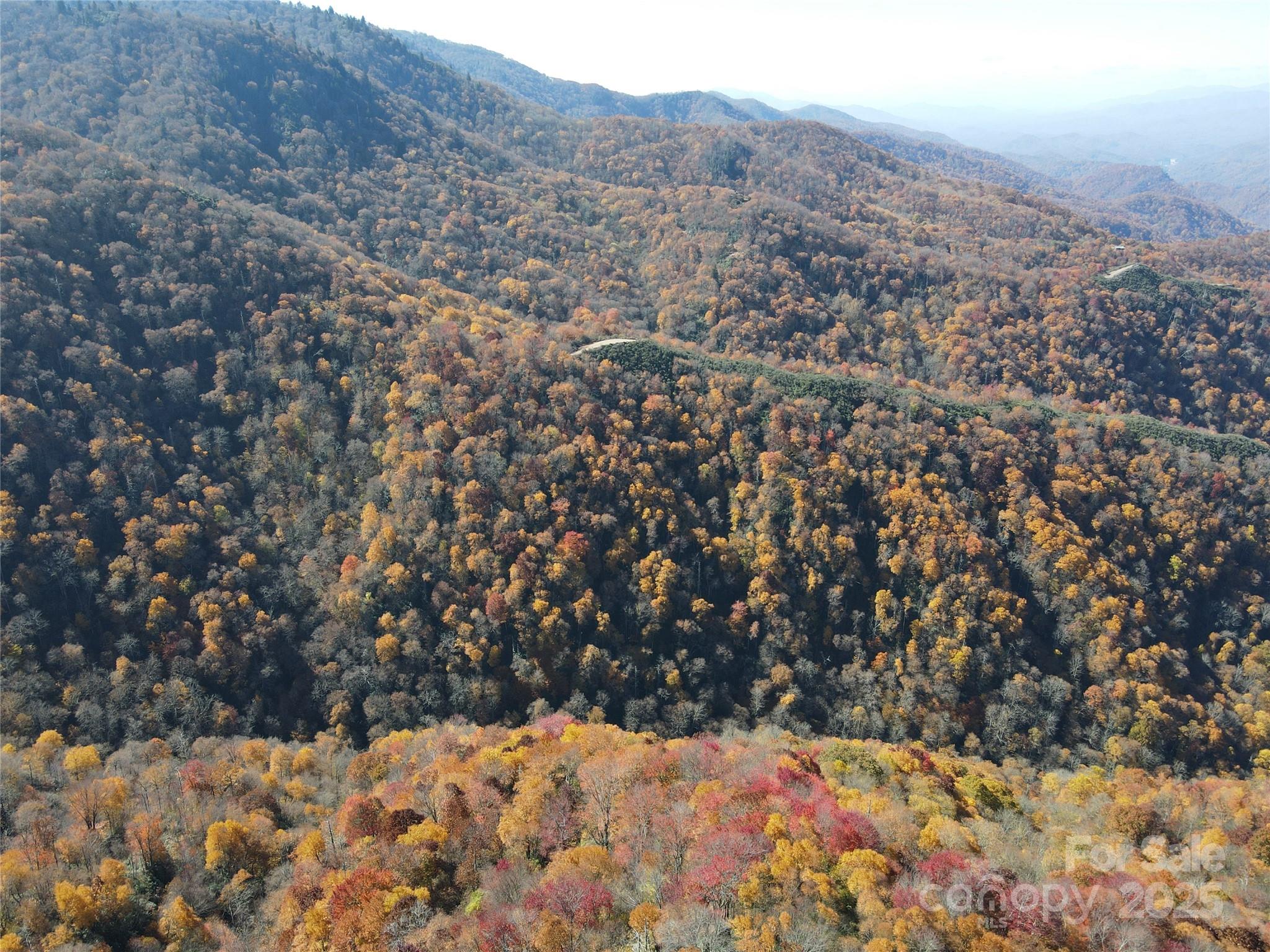 3689 Plott Balsam Road Maggie Valley NC 28779