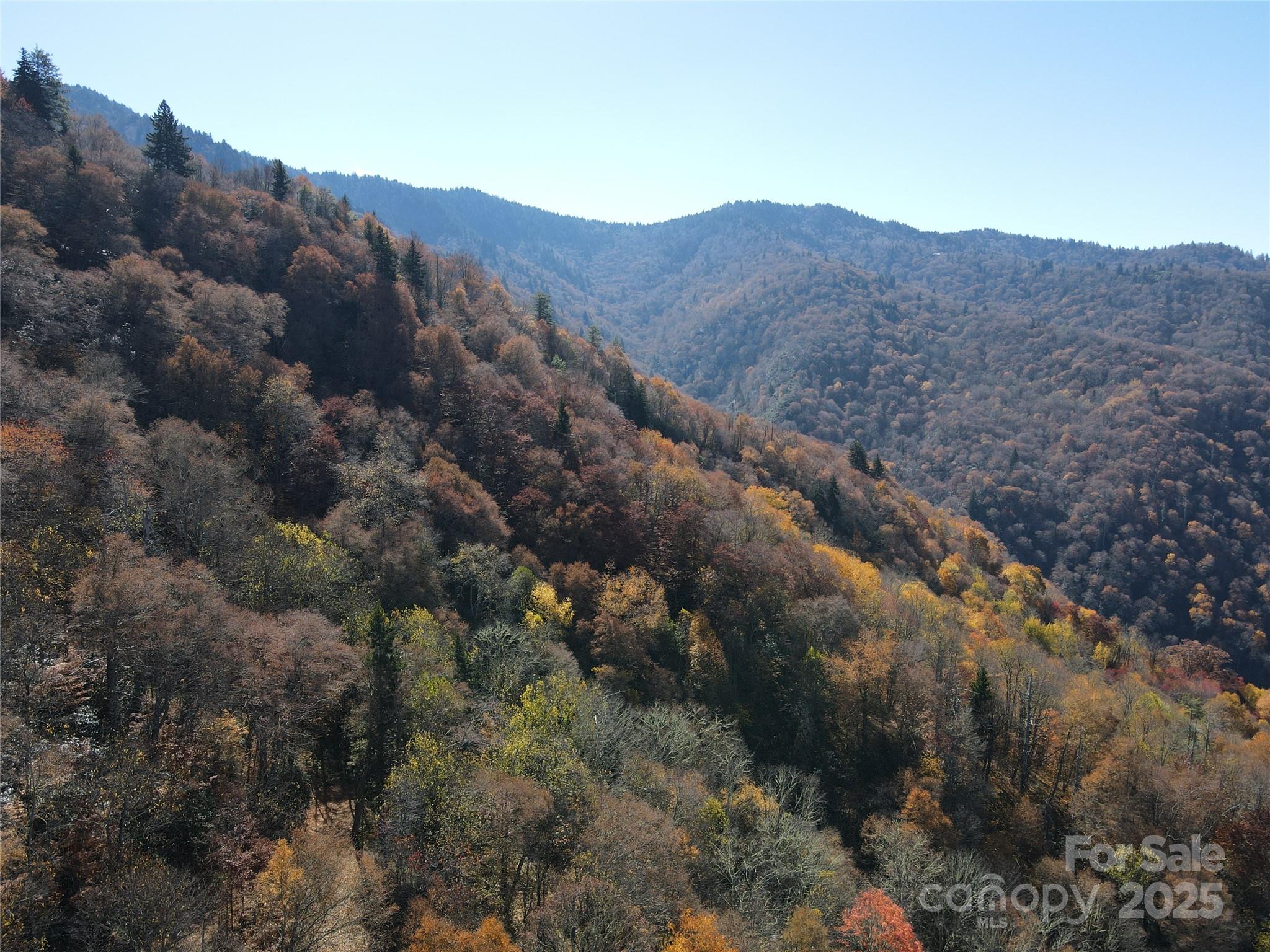 3689 Plott Balsam Road Maggie Valley NC 28779