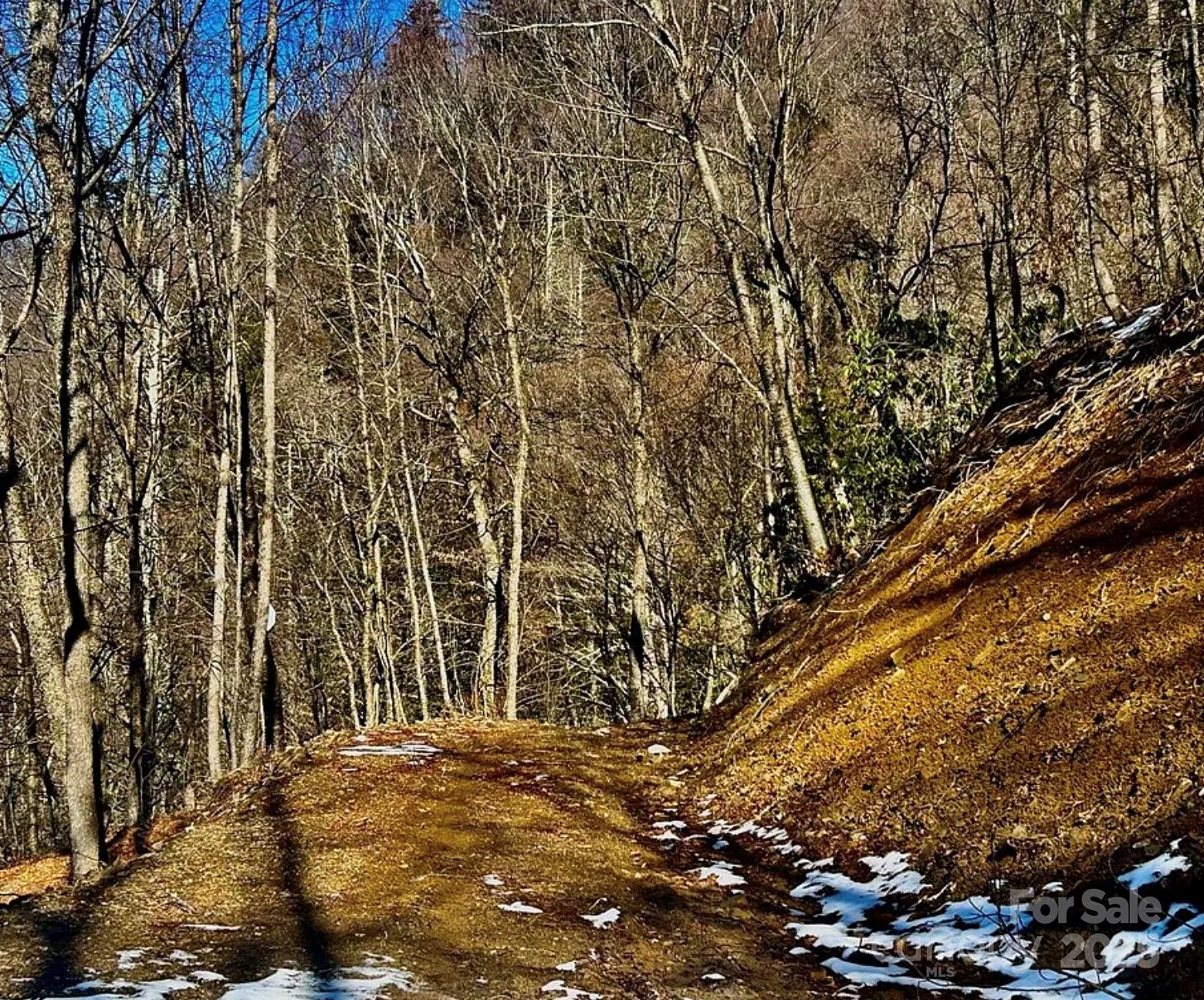 3689 Plott Balsam Road Maggie Valley NC 28779