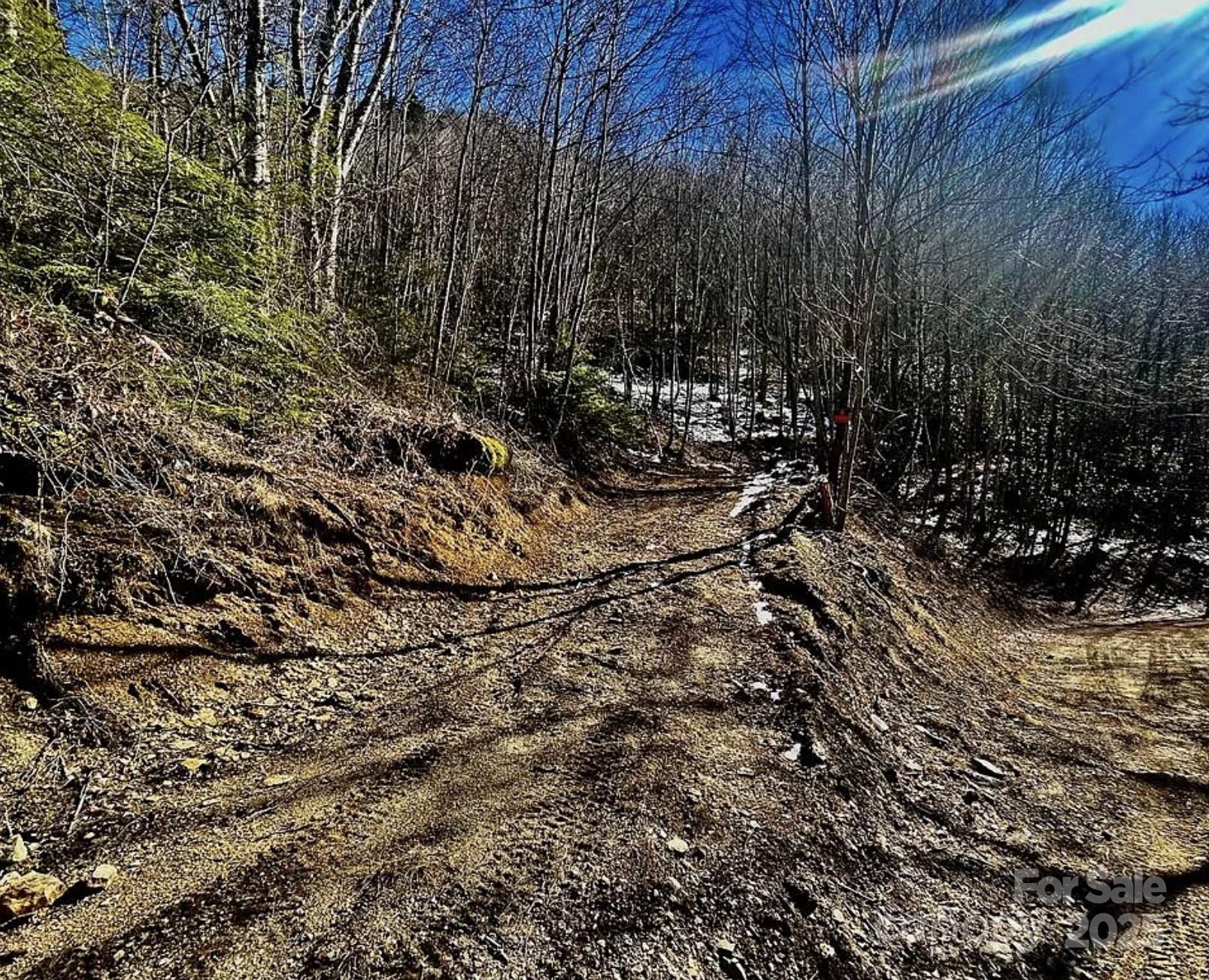 3689 Plott Balsam Road Maggie Valley NC 28779