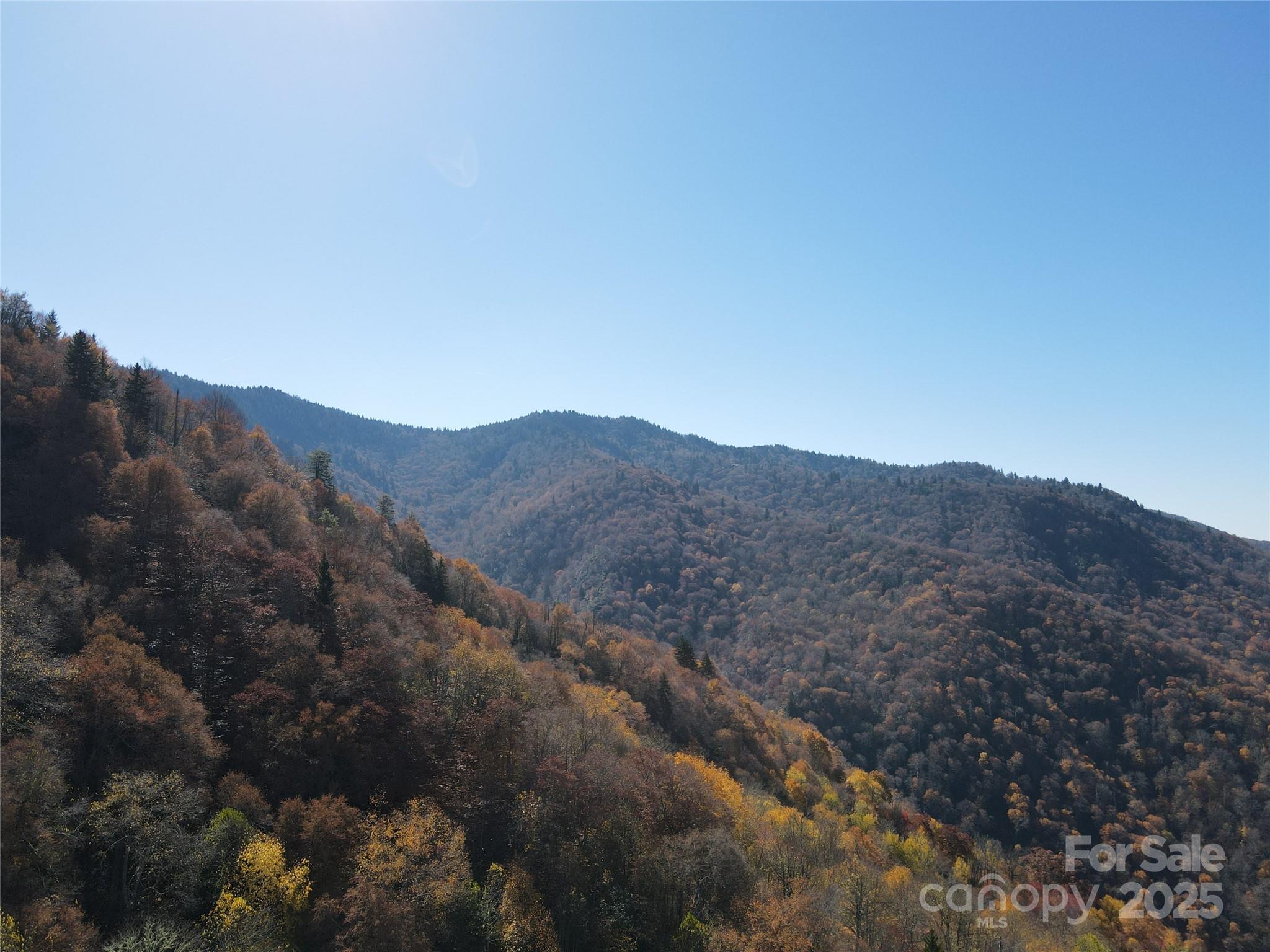3689 Plott Balsam Road Maggie Valley NC 28779