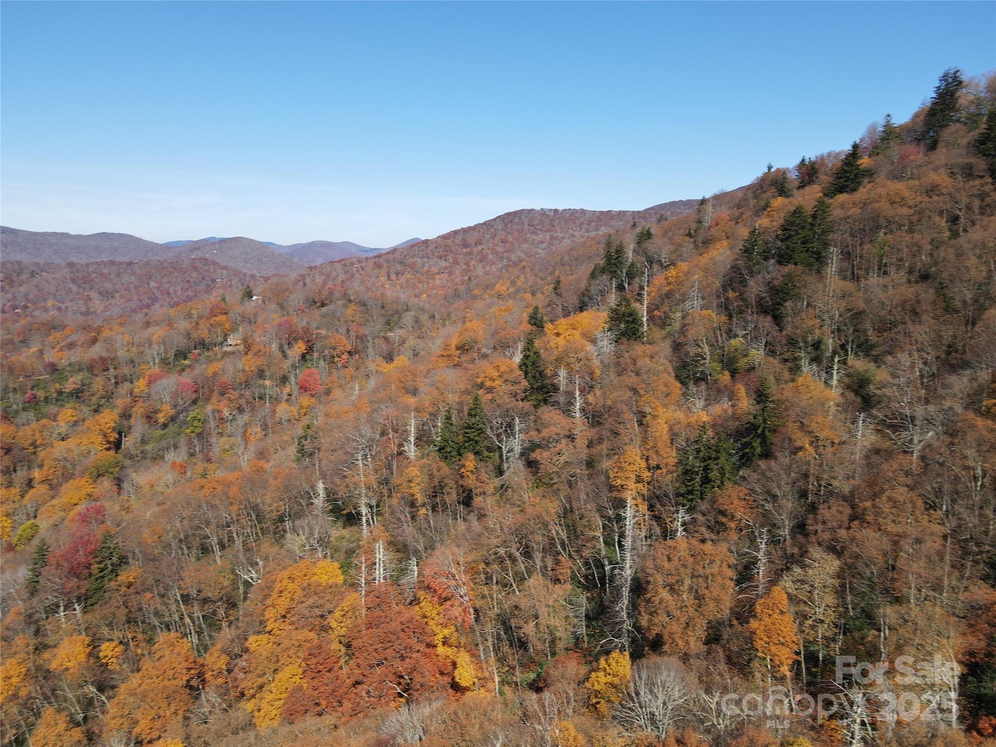 3689 Plott Balsam Road Maggie Valley NC 28779