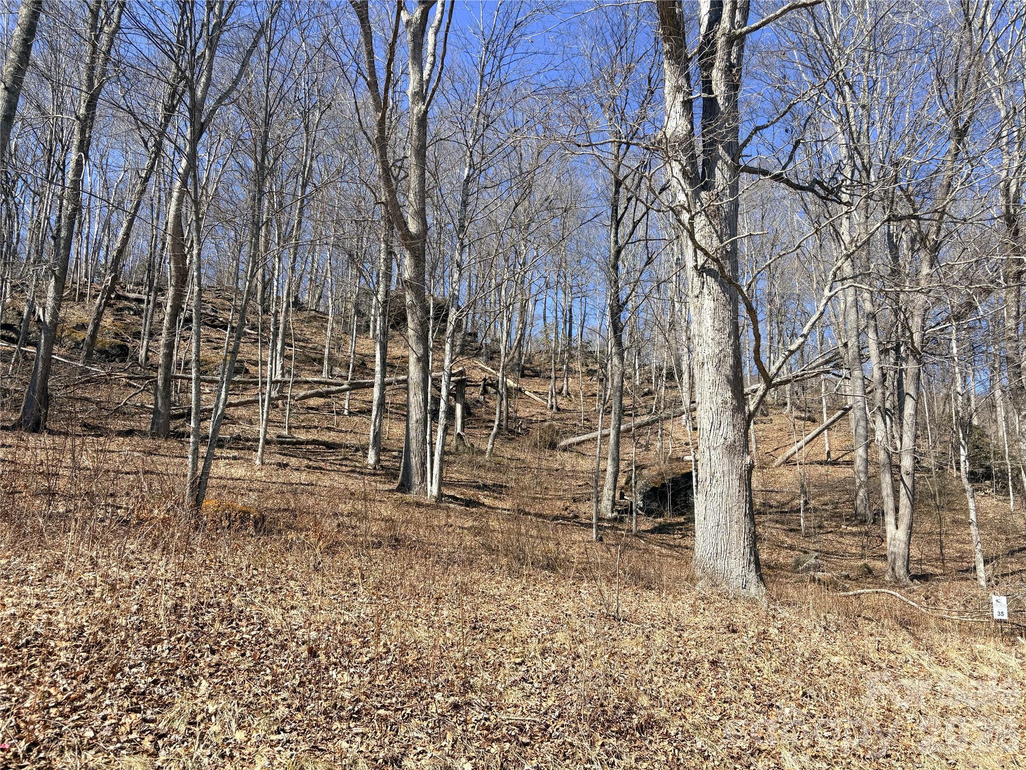 Lot 35 Soothing Waters Drive Todd NC 28684