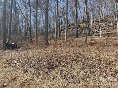 Lot 35 Soothing Waters Drive Todd NC 28684