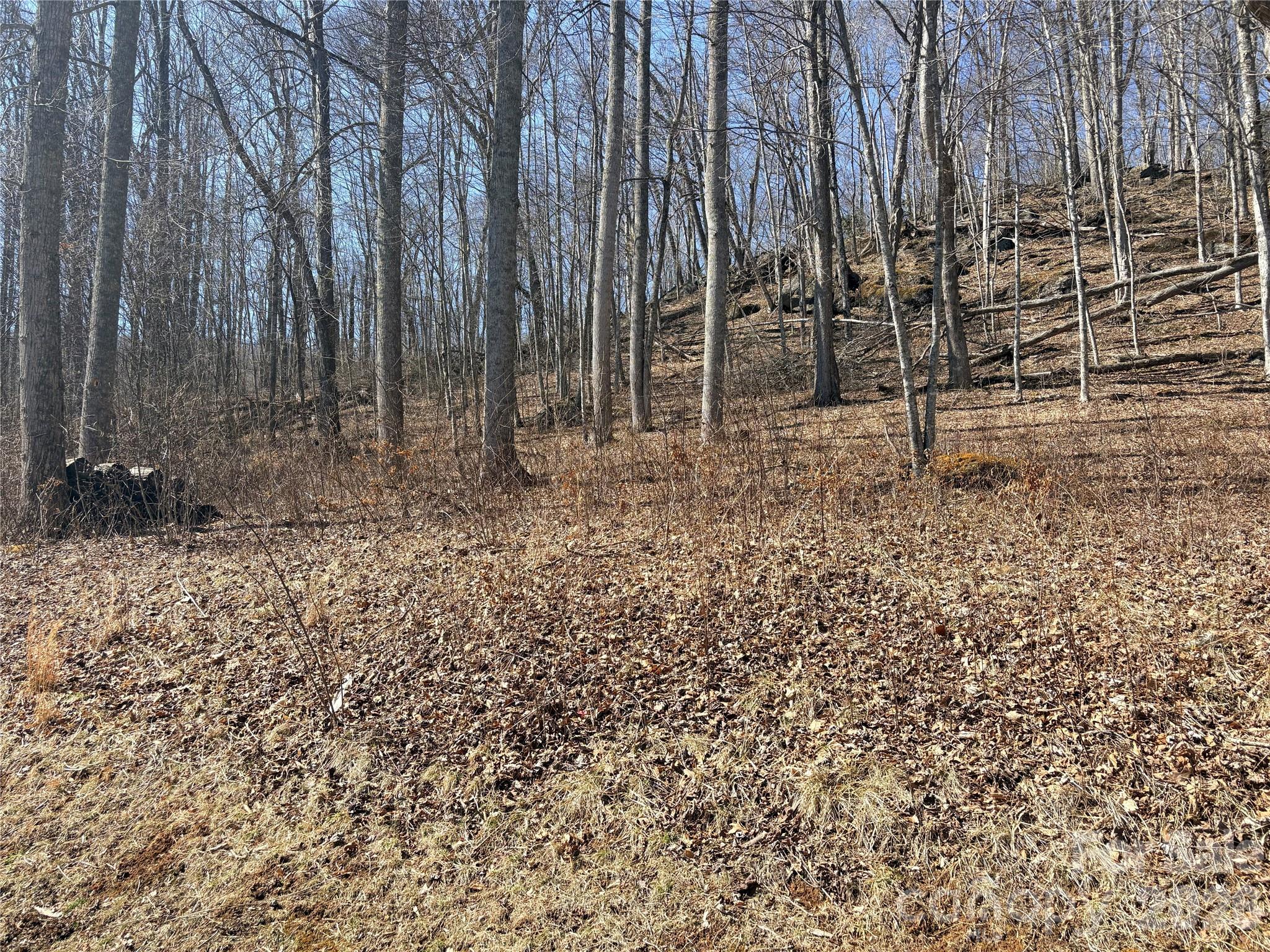 Lot 35 Soothing Waters Drive Todd NC 28684