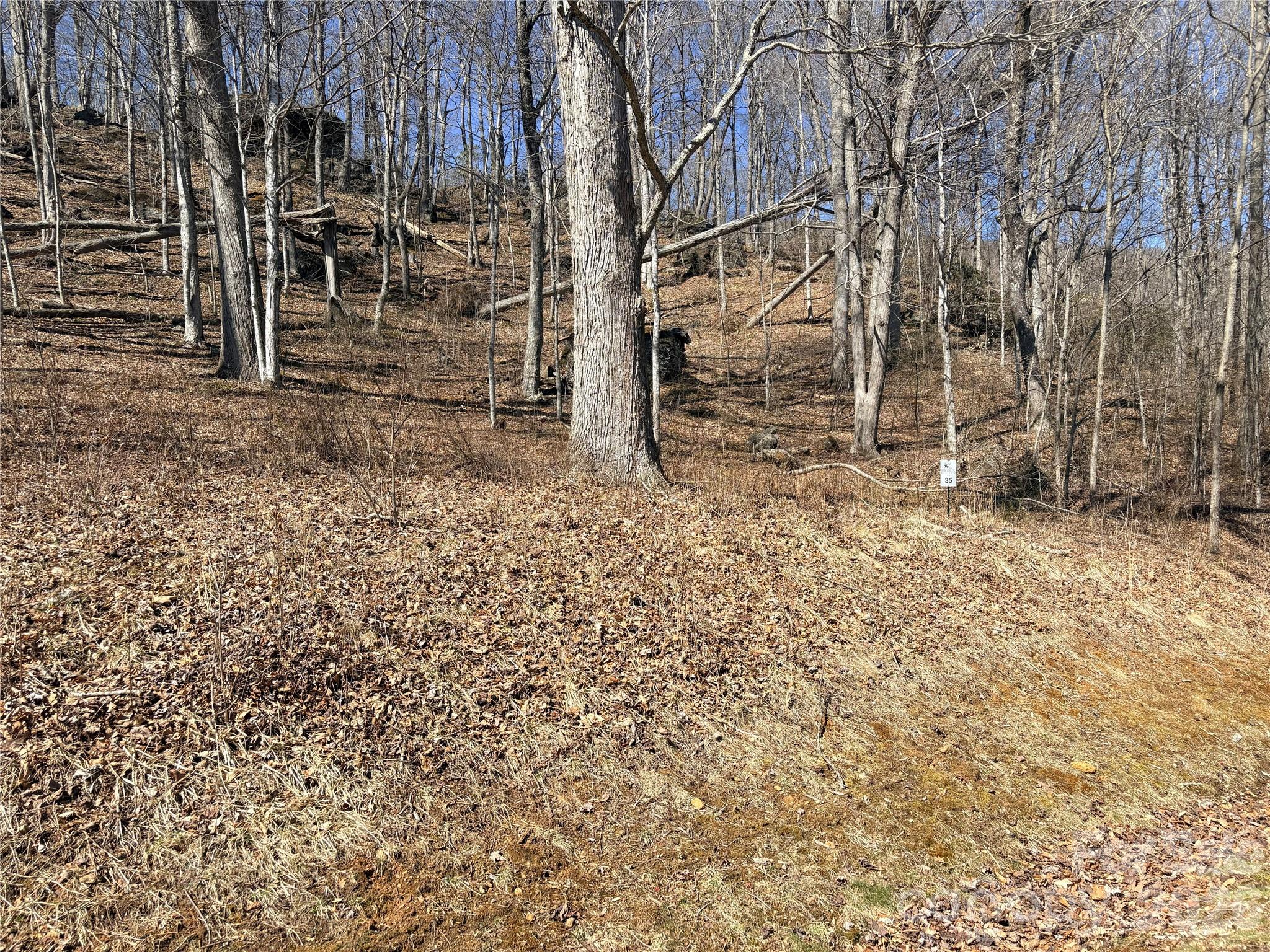 Lot 35 Soothing Waters Drive Todd NC 28684