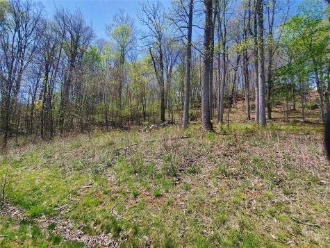 Tbd Soothing Waters Drive Todd NC 28684