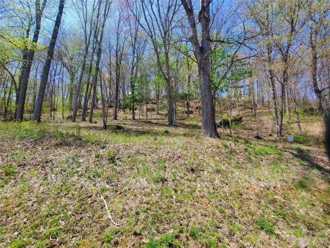 Tbd Soothing Waters Drive Todd NC 28684