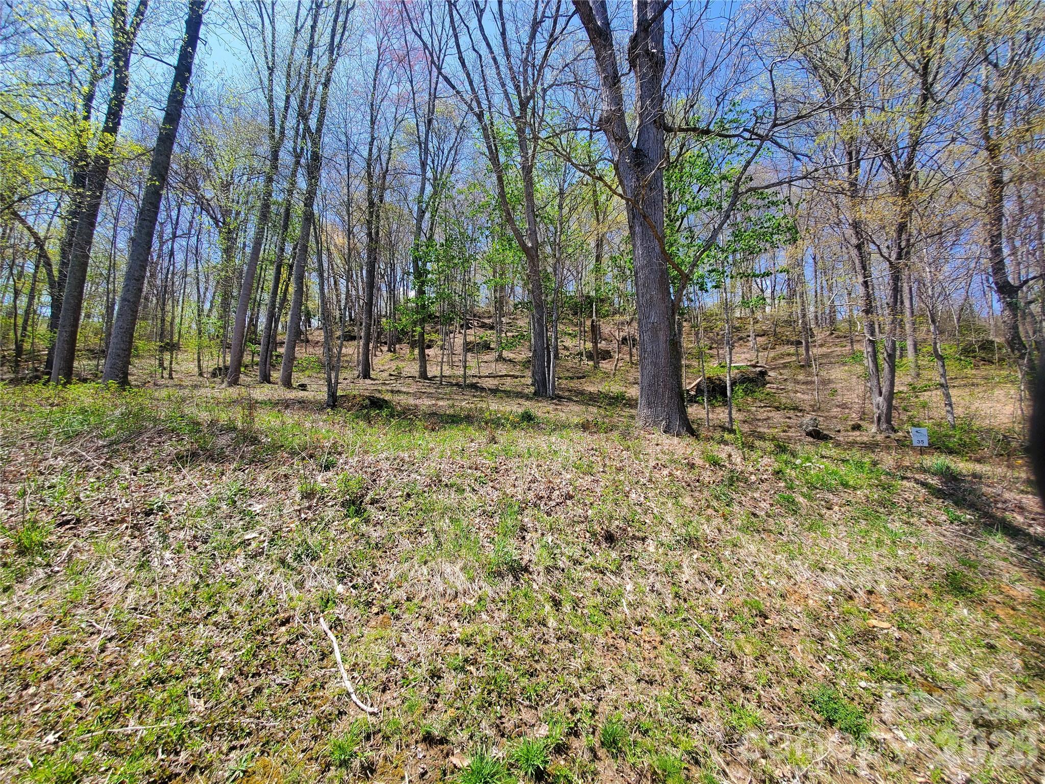 Lot 35 Soothing Waters Drive Todd NC 28684