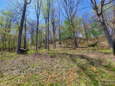 Tbd Soothing Waters Drive Todd NC 28684