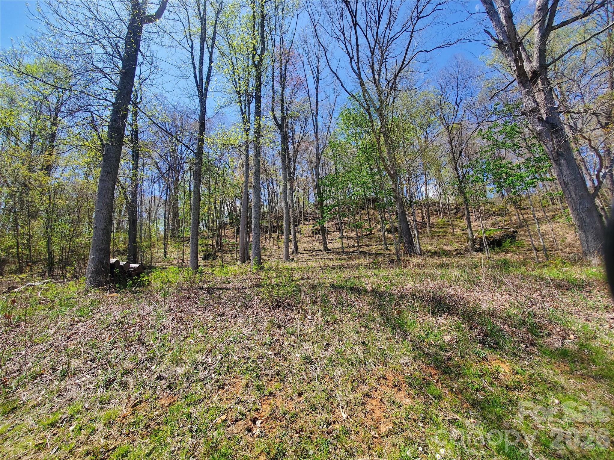 Lot 35 Soothing Waters Drive Todd NC 28684
