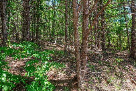 Lot 12 Meadow Crossing Drive Rutherfordton NC 28139