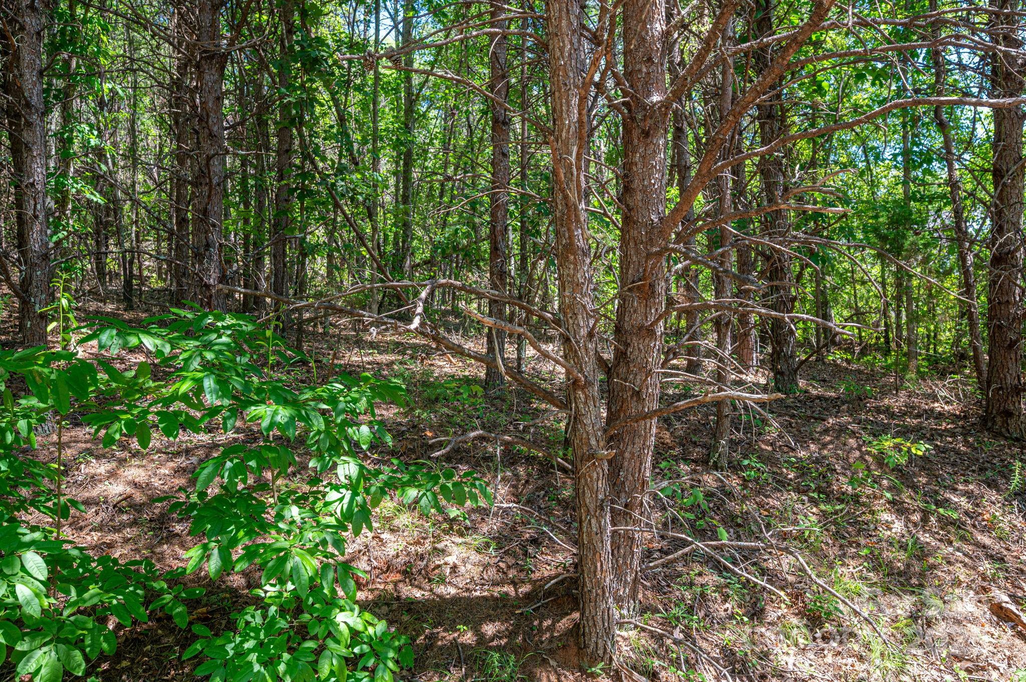 Lot 12 Meadow Crossing Drive Rutherfordton NC 28139