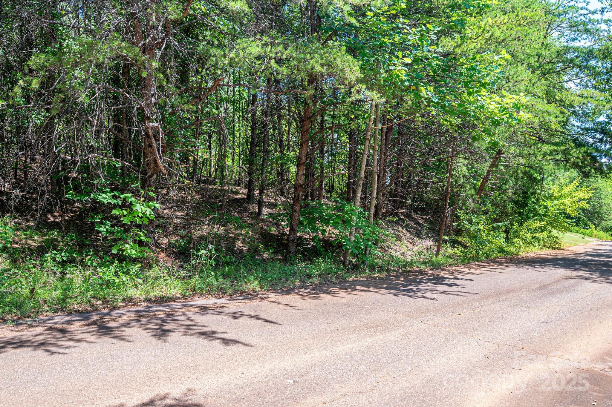 Lot 12 Meadow Crossing Drive Rutherfordton NC 28139