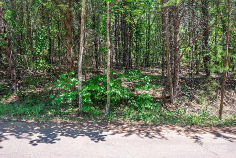 Lot 12 Meadow Crossing Drive Rutherfordton NC 28139