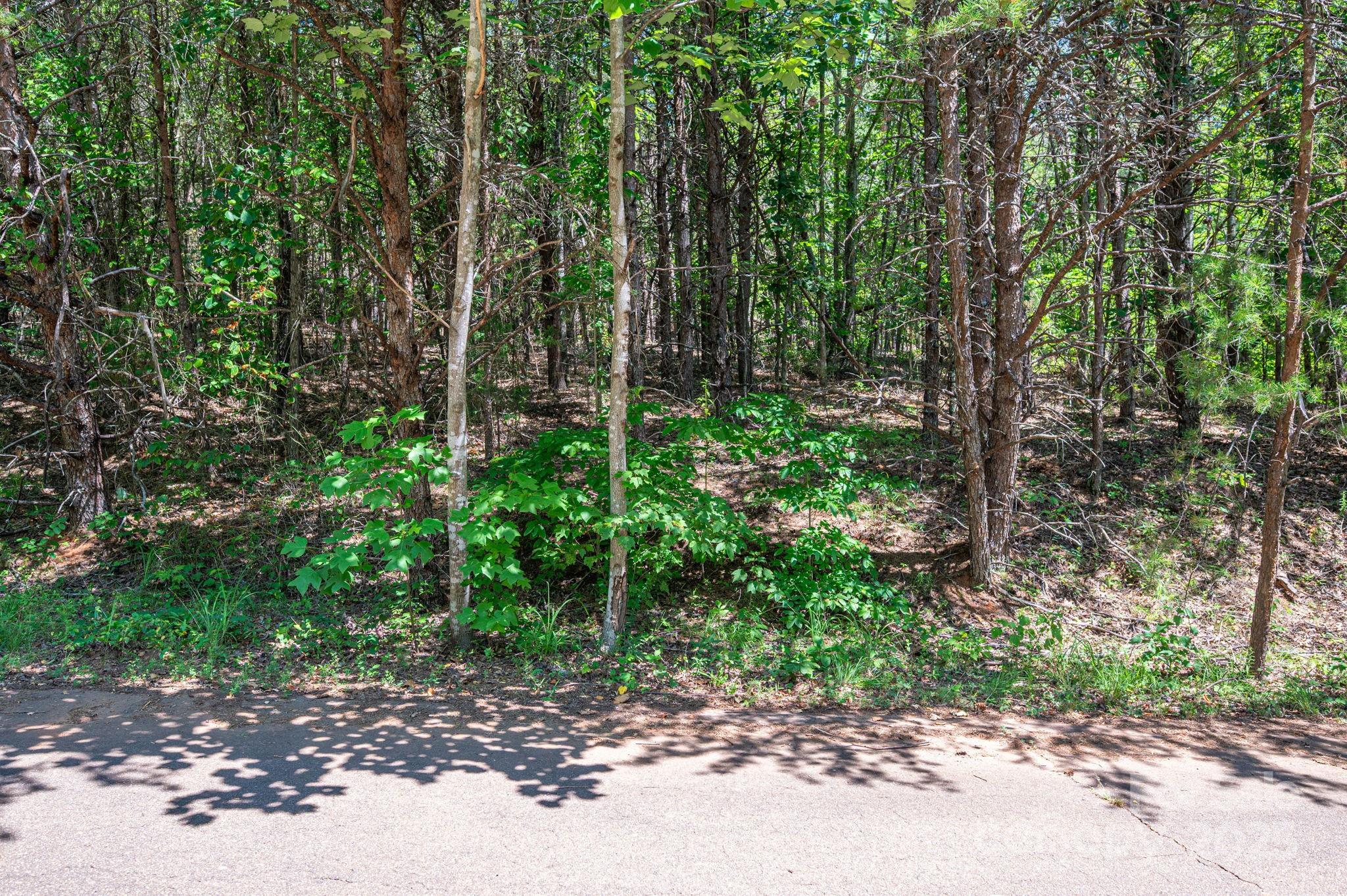 Lot 12 Meadow Crossing Drive Rutherfordton NC 28139