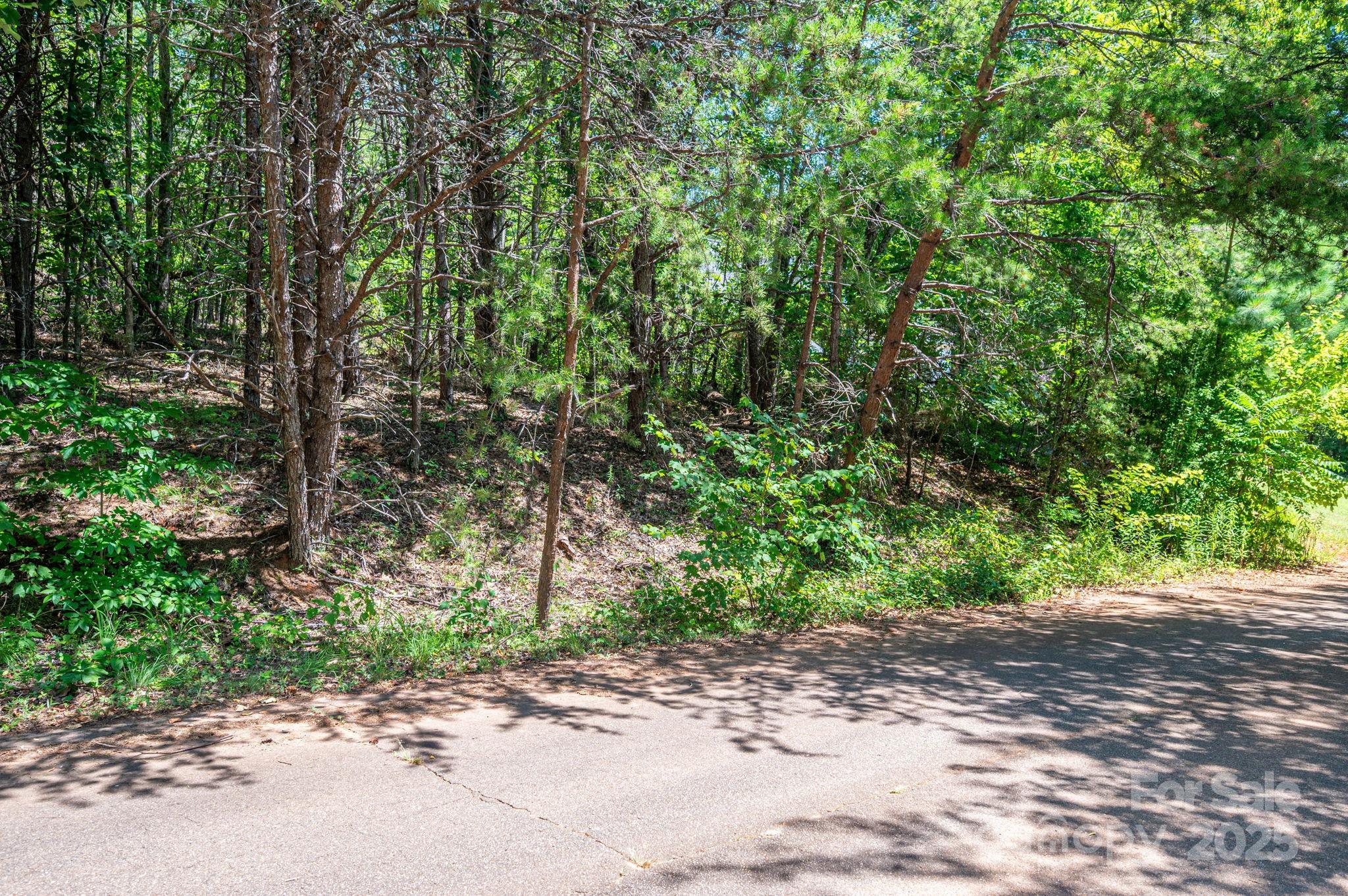 Lot 12 Meadow Crossing Drive Rutherfordton NC 28139
