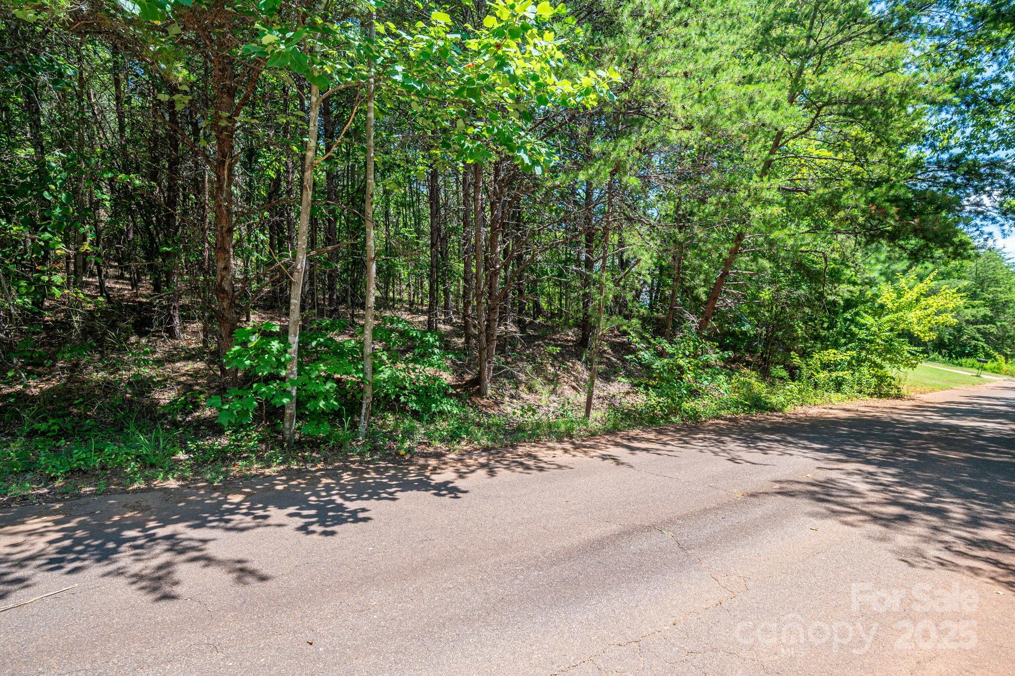 Lot 12 Meadow Crossing Drive Rutherfordton NC 28139
