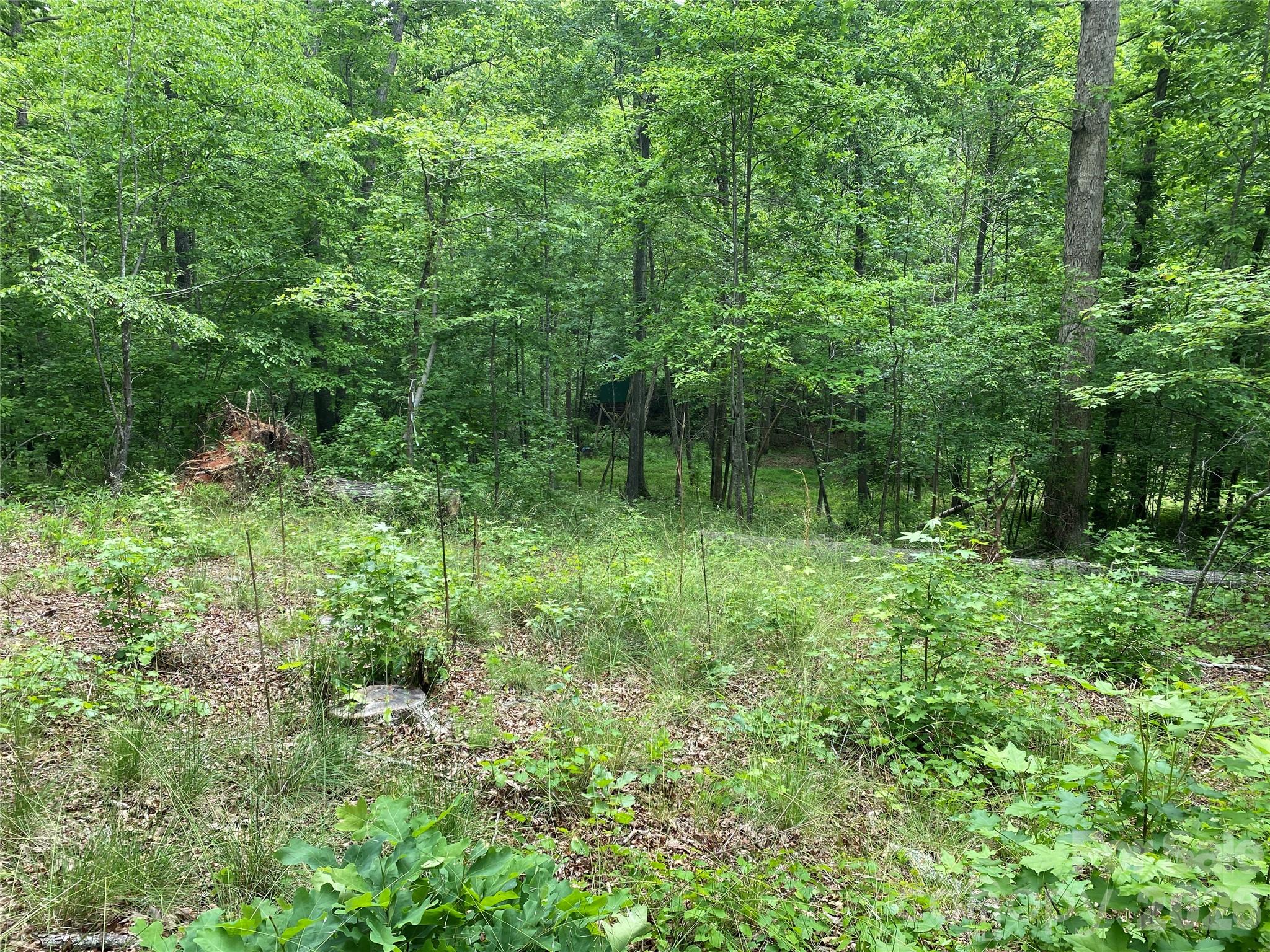 00 Kiser Road Bostic NC 28018