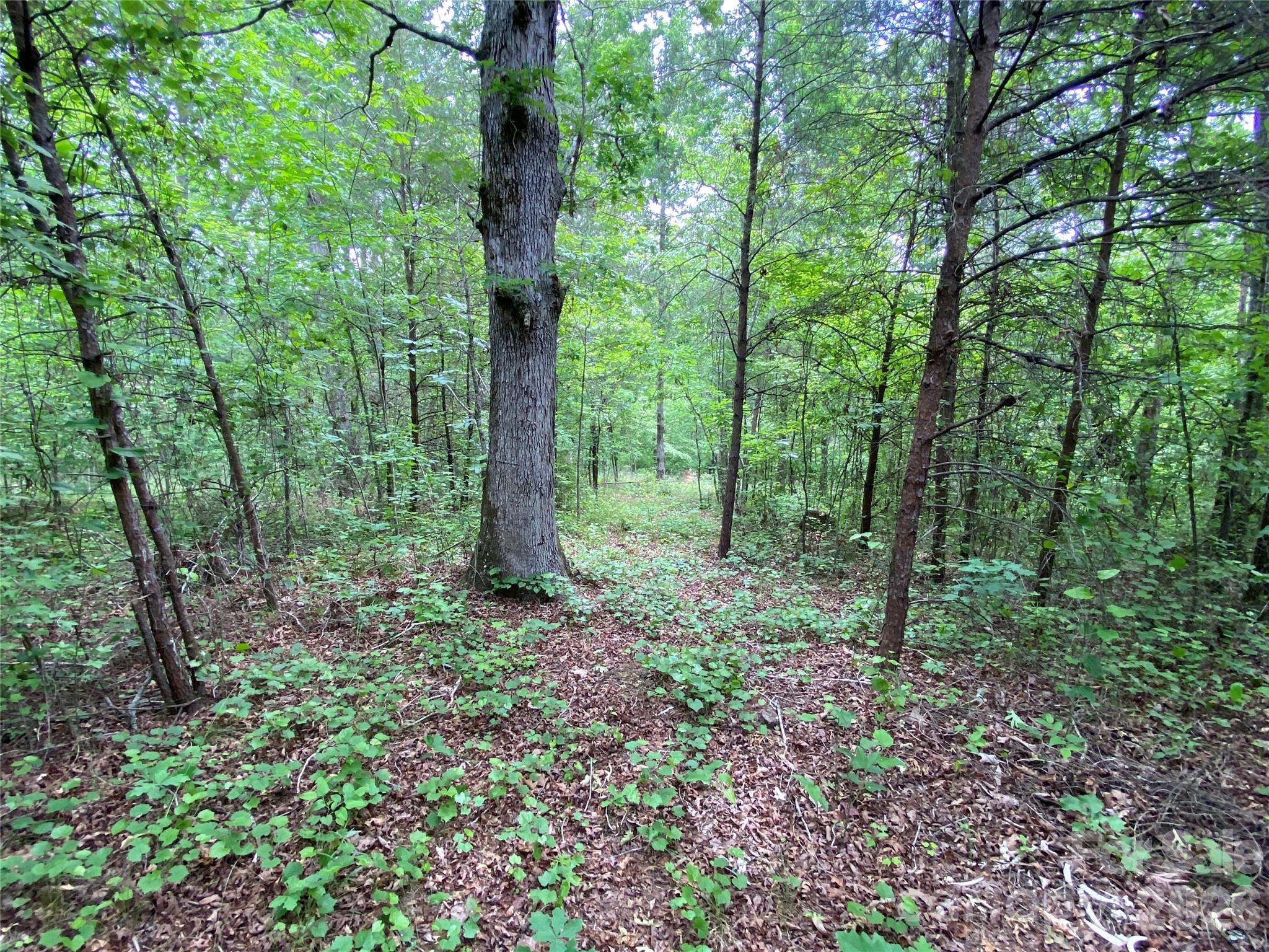 00 Kiser Road Bostic NC 28018