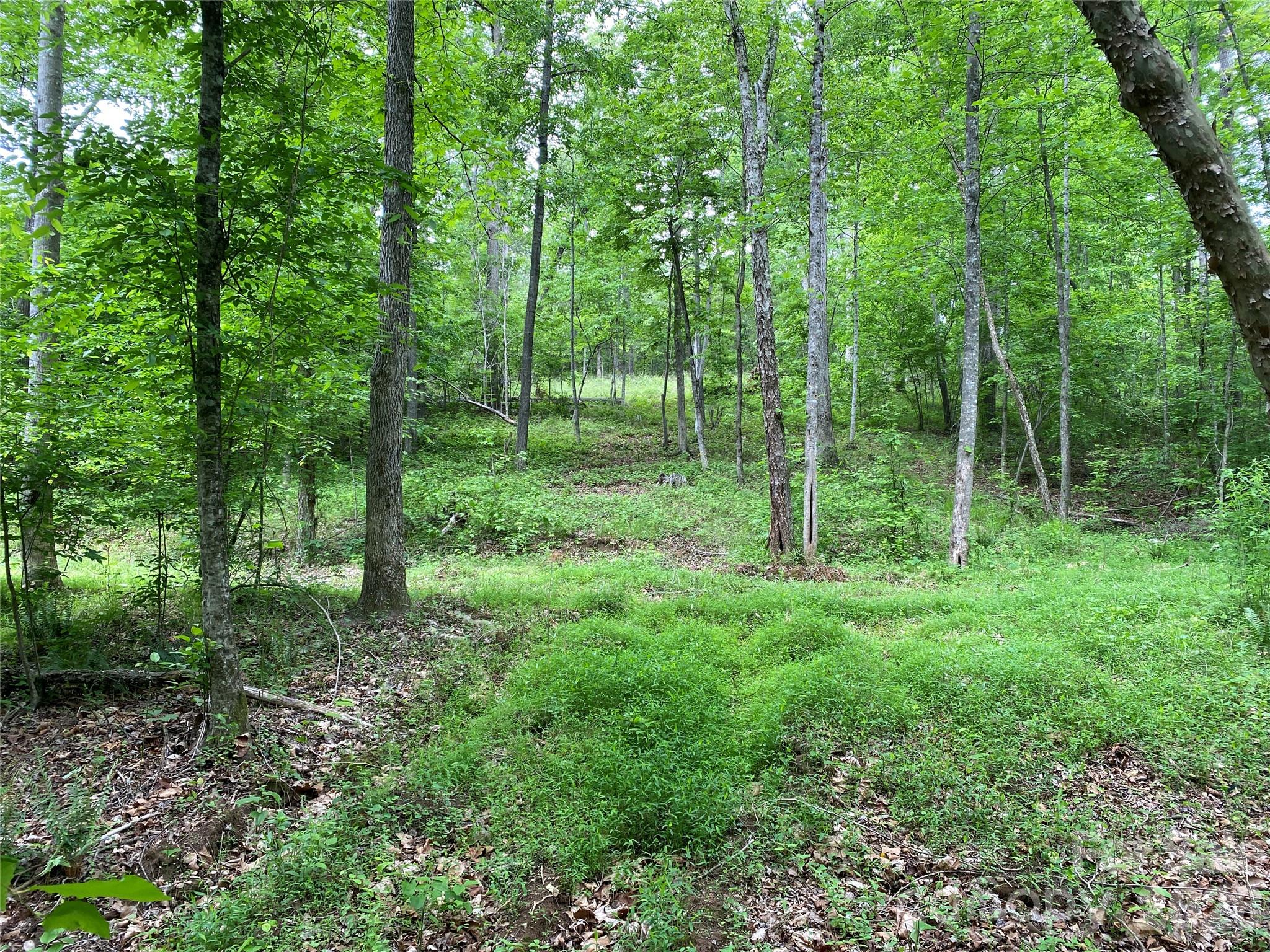 00 Kiser Road Bostic NC 28018