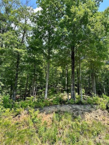 4110 French Broad Parkway Marshall NC 28753