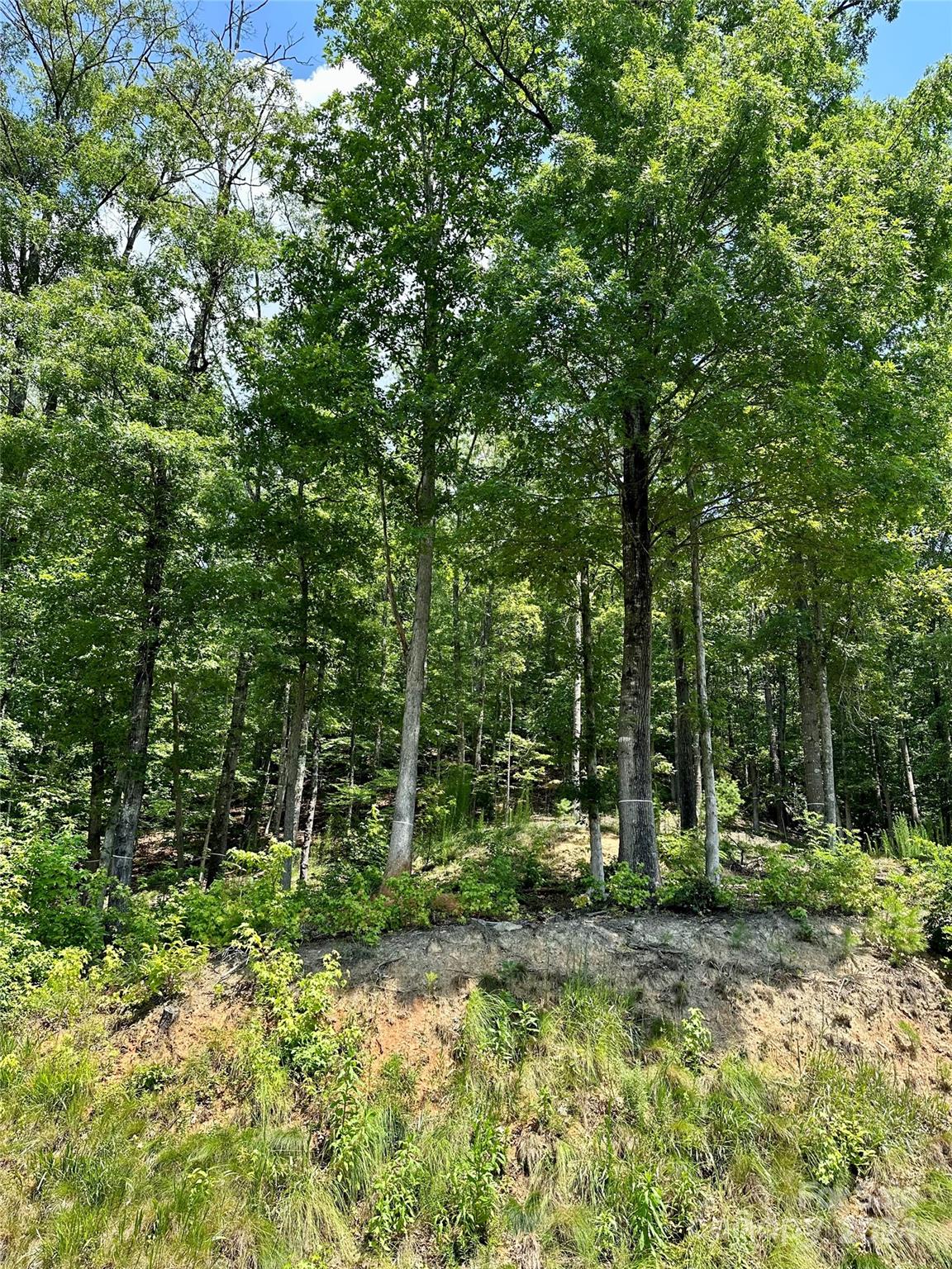4110 French Broad Parkway Marshall NC 28753