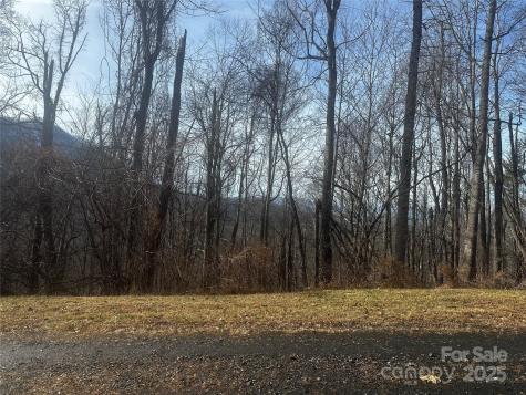 0 Wild Turkey Road Bakersville NC 28705