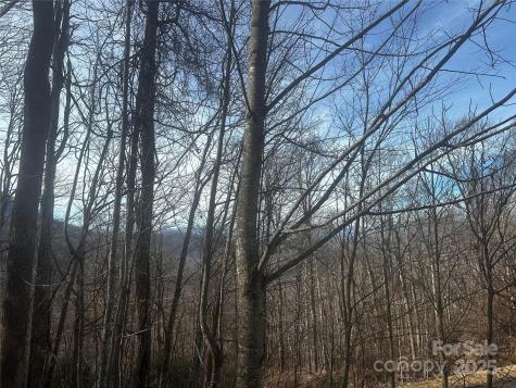 0 Wild Turkey Road Bakersville NC 28705