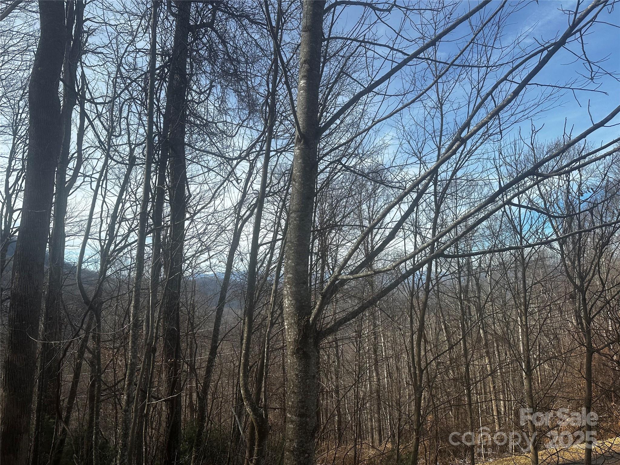 0 Wild Turkey Road Bakersville NC 28705