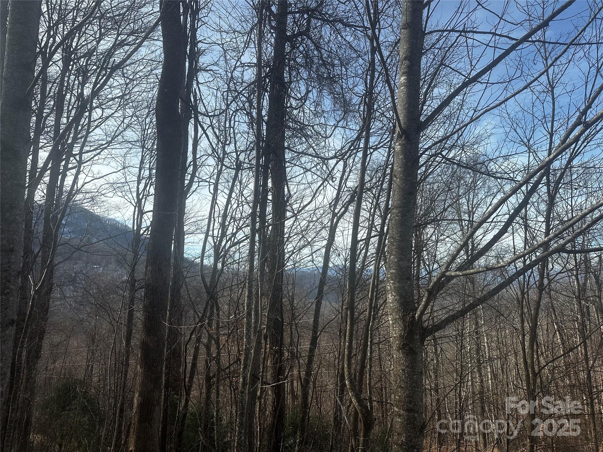 0 Wild Turkey Road Bakersville NC 28705