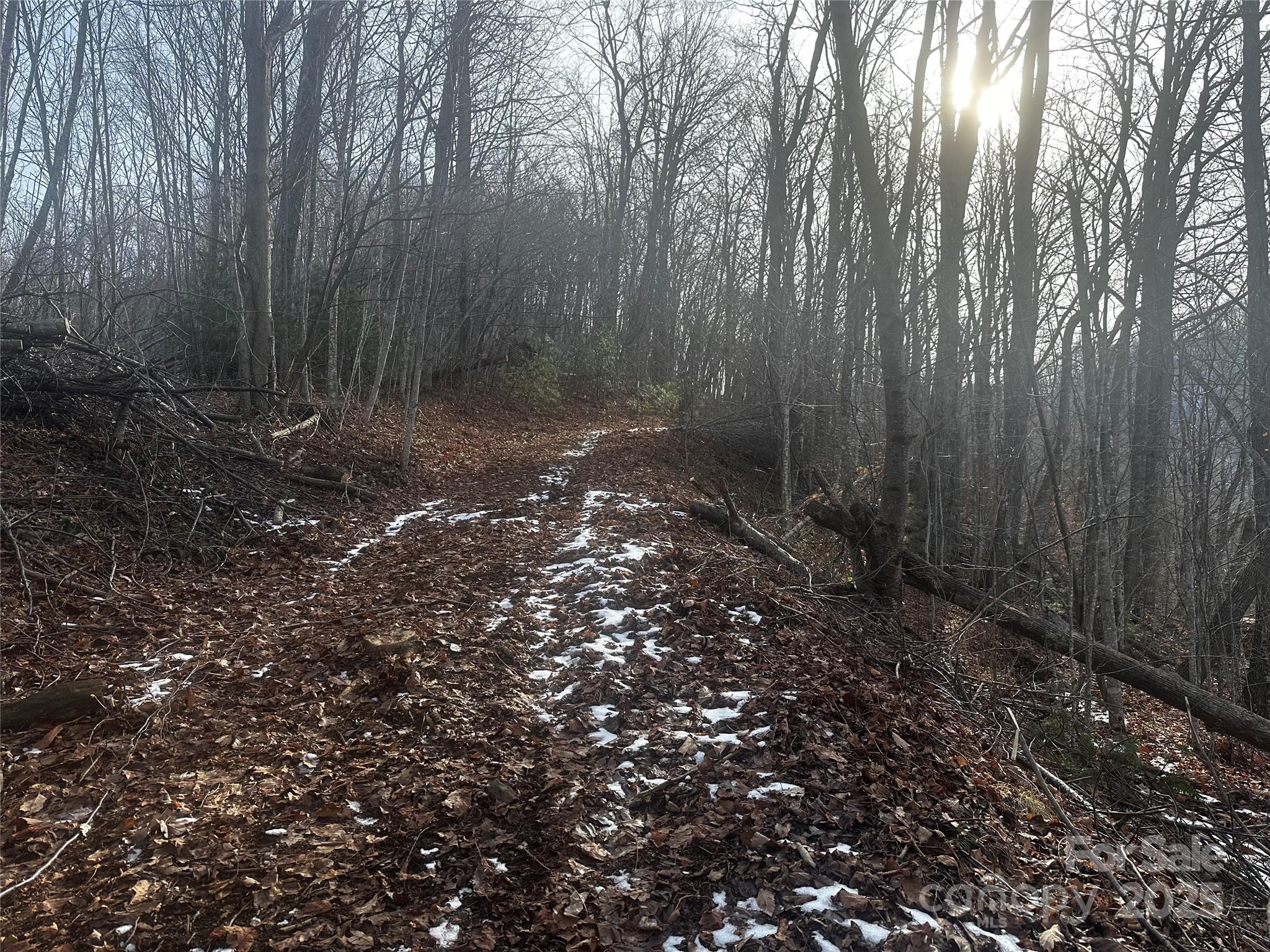 0 Wild Turkey Road Bakersville NC 28705