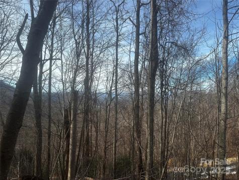 0 Wild Turkey Road Bakersville NC 28705